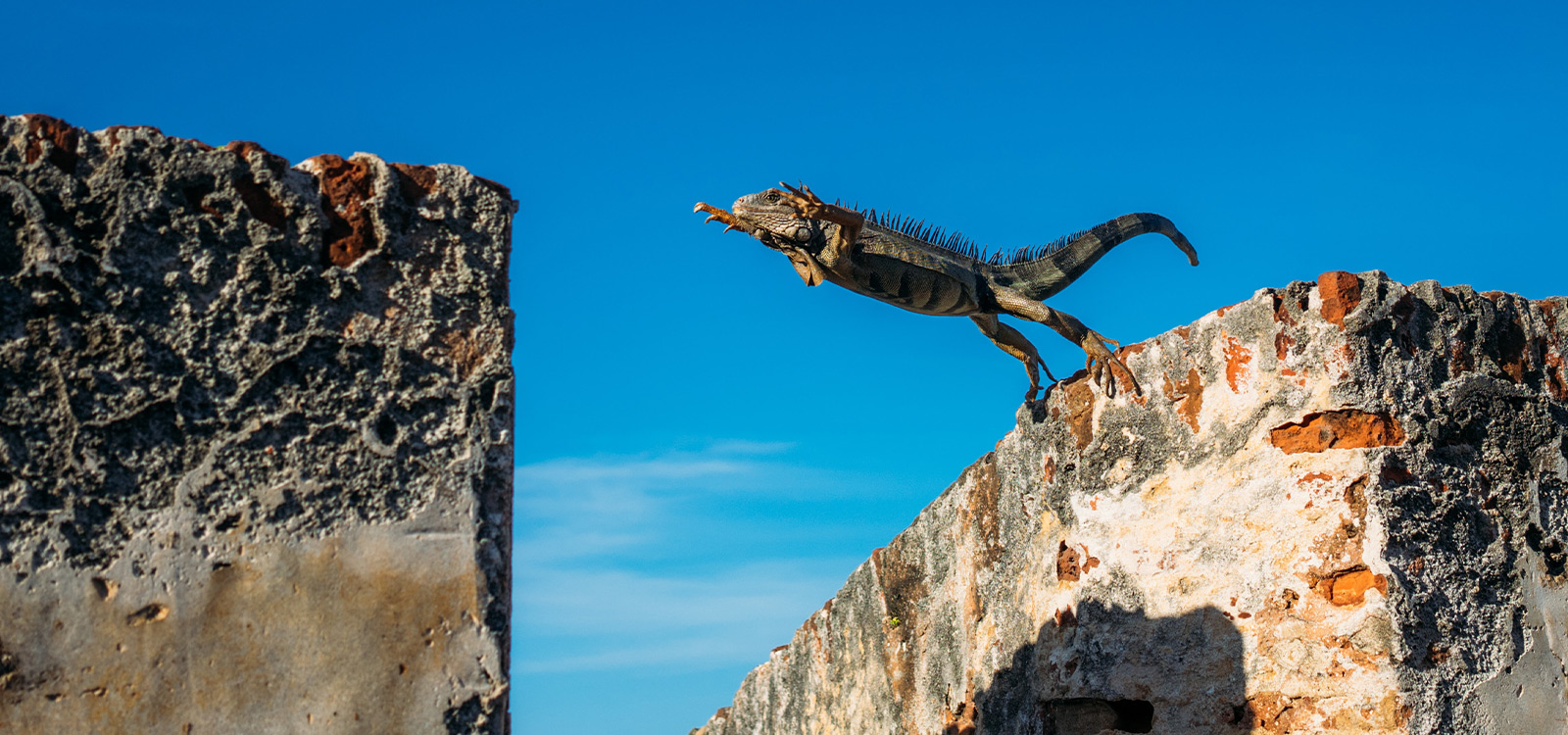 Advice that will get you further