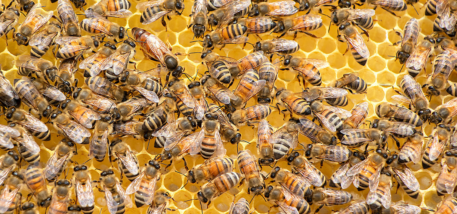 A team that works for you